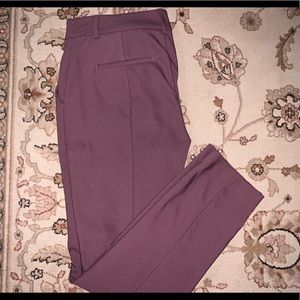 Dusty Rose Express Dress Pants NWOT